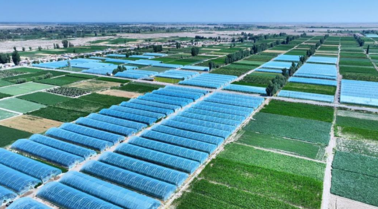 1763113839306110.png 1.png