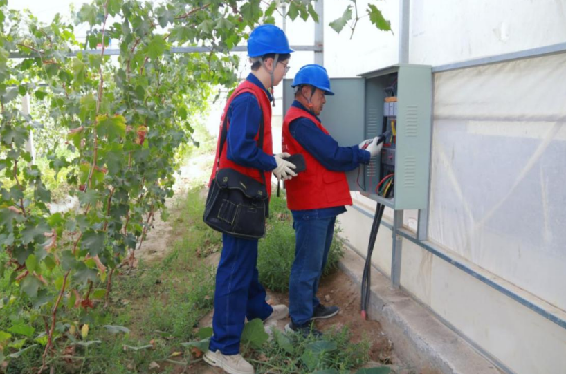 1763113848915796.png 2.png