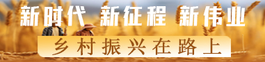 鄉(xiāng)村振興在路上
